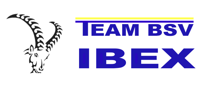 TEAM BSV IBEX logo