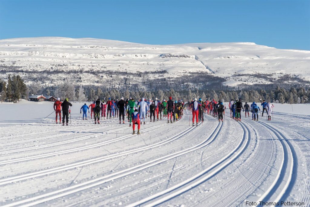 Furusjøen Rundt-rennet