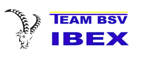 Team BSV IBEX logo